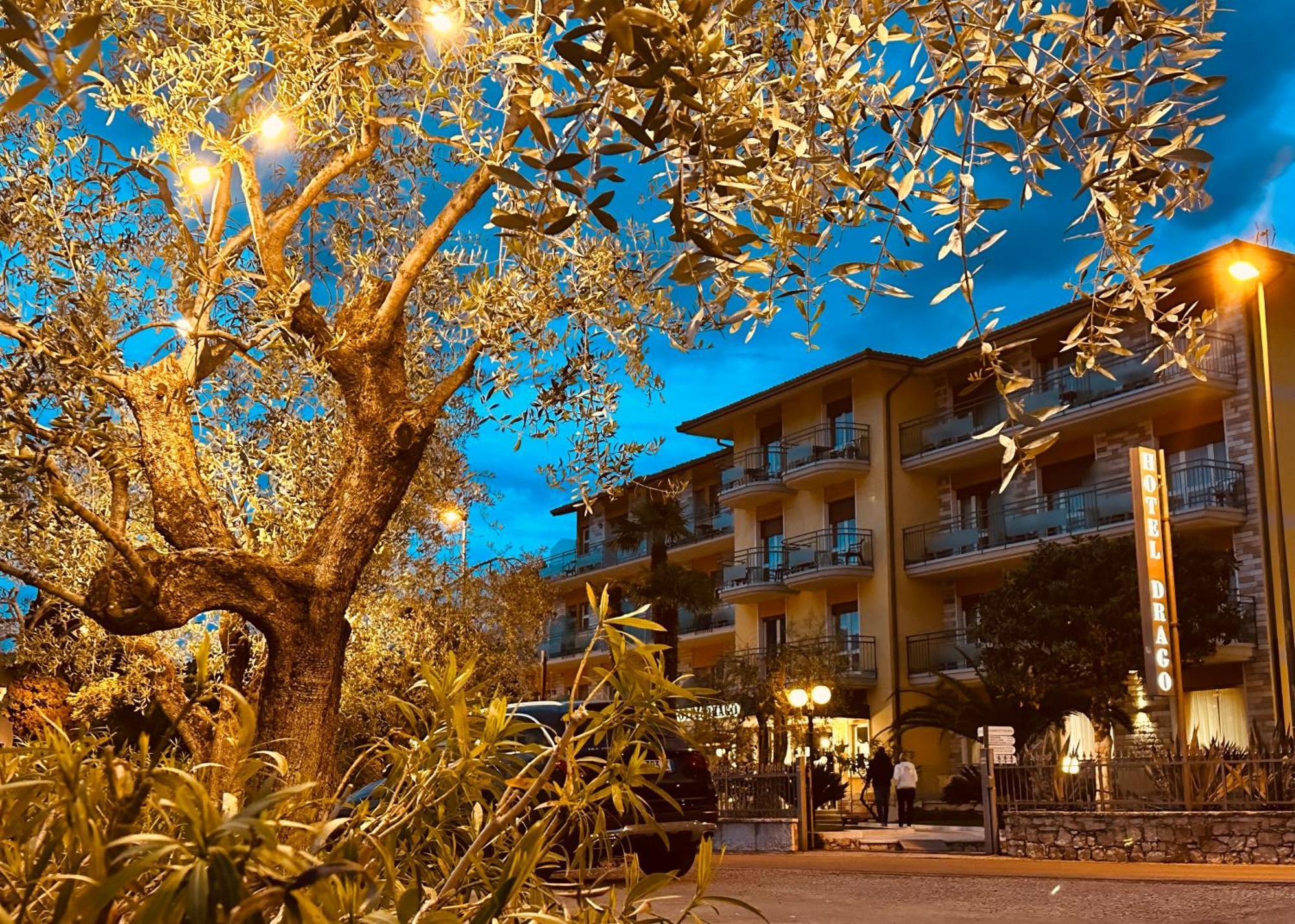 Hotel Drago - Garda Lake Collection Бренцоне-суль-Гарда Екстер'єр фото